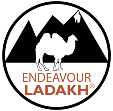 leh ladakh bike trip in august