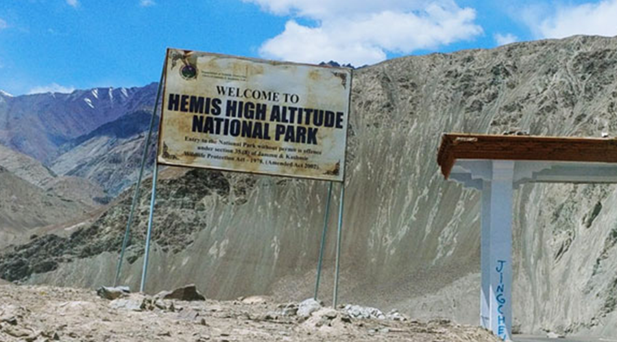 Hemis National Park Ladakh