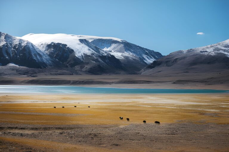 Leh Ladakh Road Trip