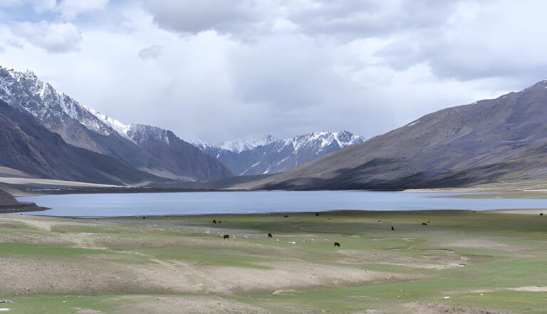 Ladakh flora and fauna