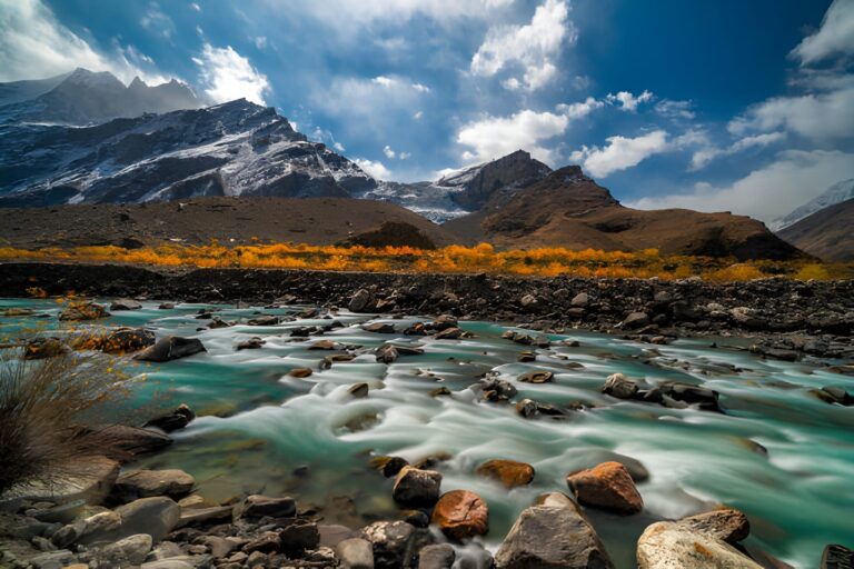 suru valley ladakh
